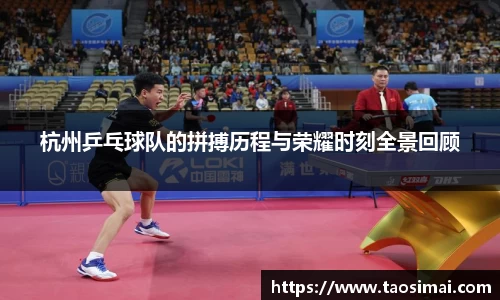杭州乒乓球队的拼搏历程与荣耀时刻全景回顾